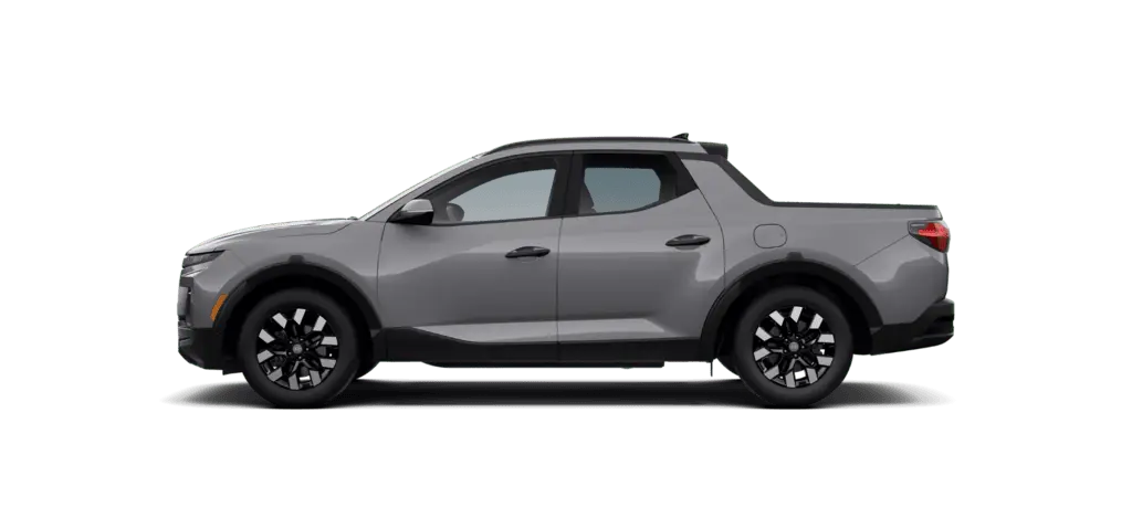 Santa Cruz Gris
