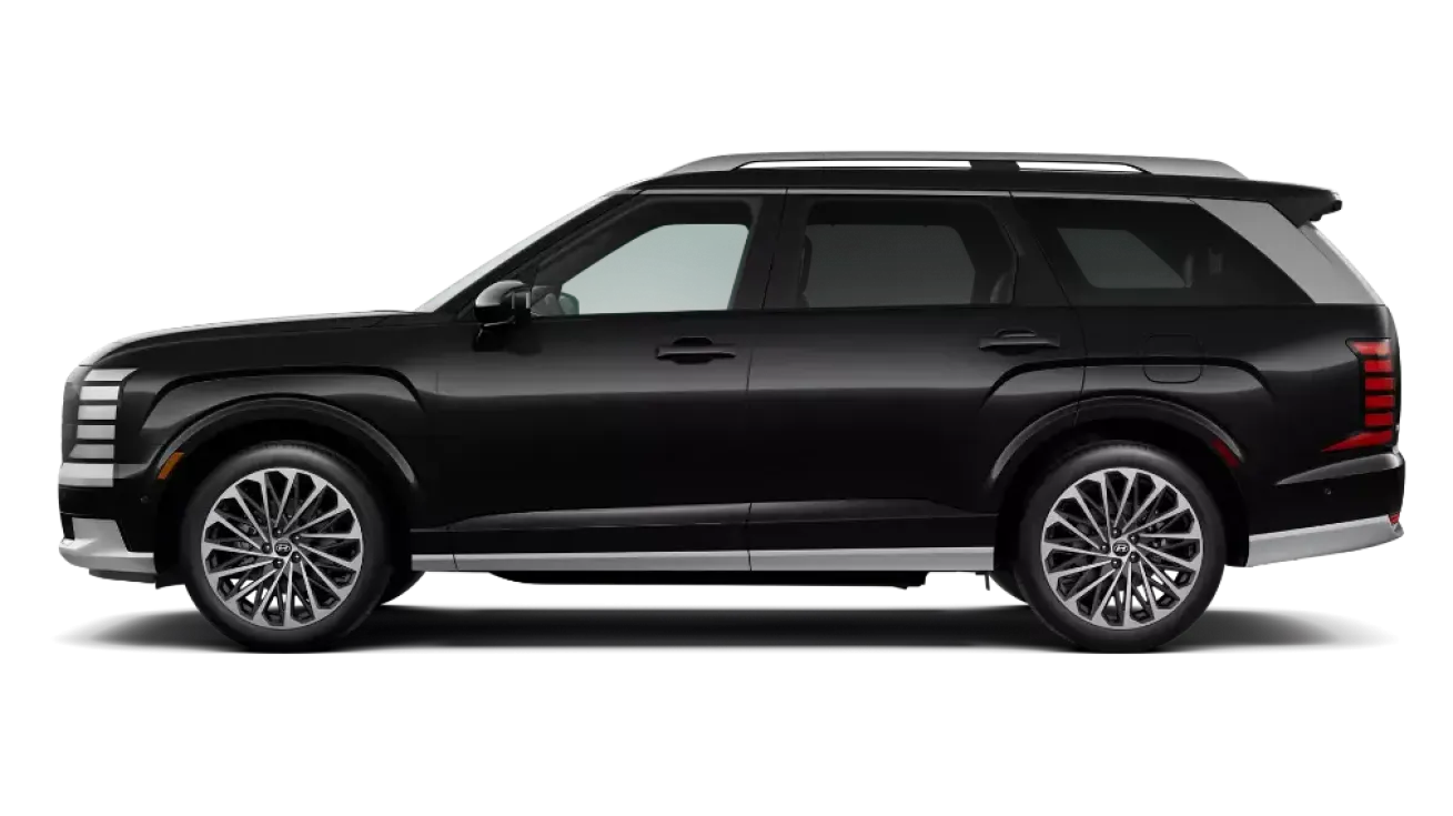 Nuevo Palisade Negro