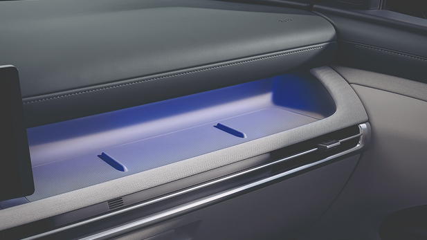 Luz ambiental (Opcional) 